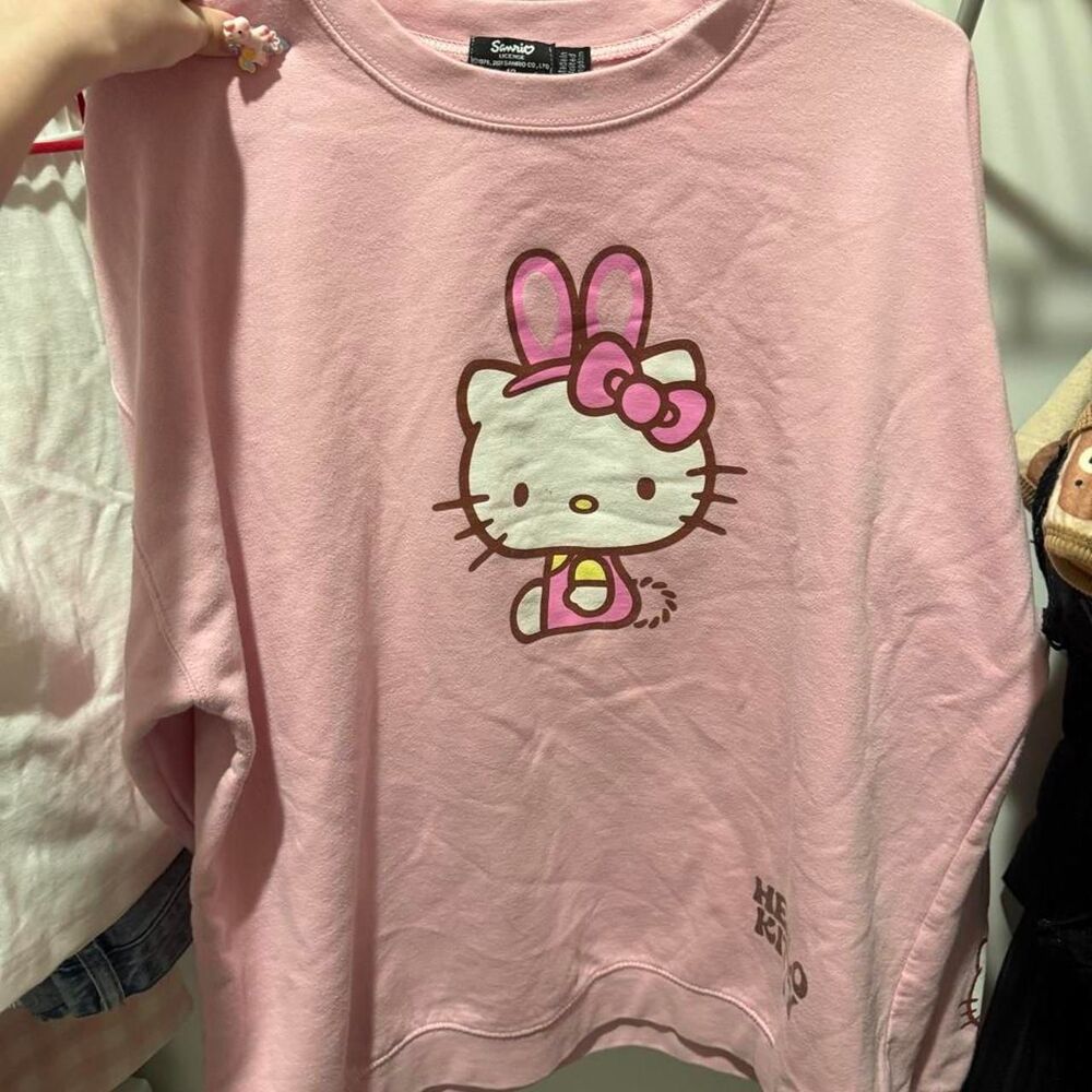 Sanrio Women's Pink Sweatshirt